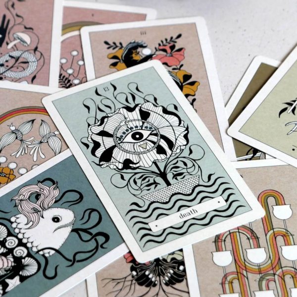 Avisomnia tarot umjetnice Orla Bird kutija karte prednja strana detalji karata