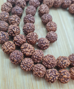 Japamala rudraksha detalj kuglice