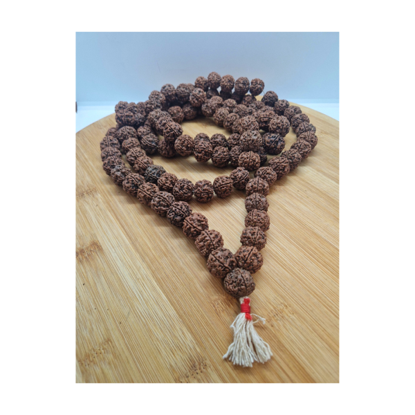 Rudraksha