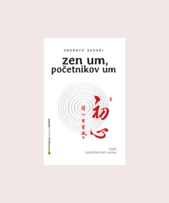 Zen um, početnikov um