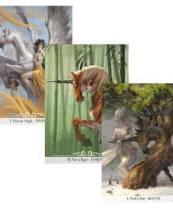 Unicorn Oracle Cards - Paolo Barbieri