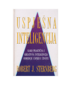Uspješna inteligencija