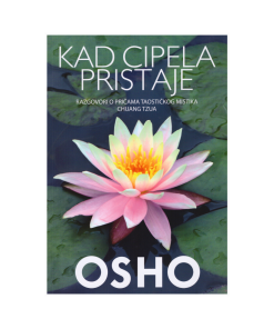 Kad cipela pristaje