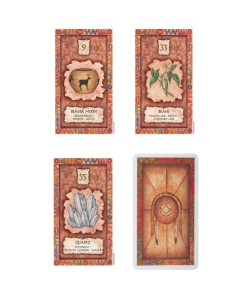 Shaman Wisdom cards