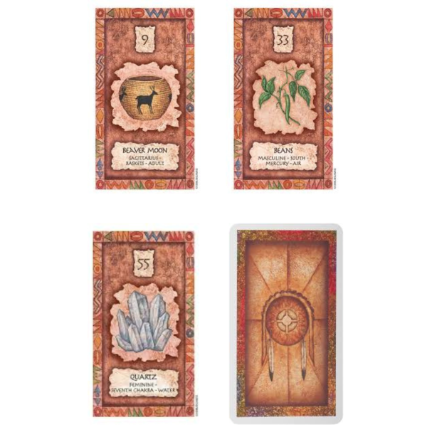 Shaman Wisdom cards