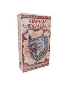 Shaman Wisdom cards