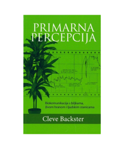 Primarna percepcija