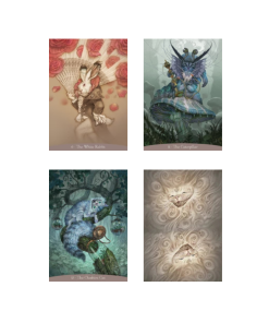 Alice in Wonderland oracle