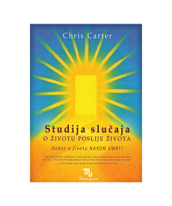 studija-slučaja-o-životu-poslije-života