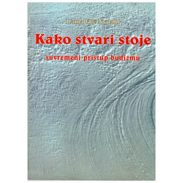Kako stvari stoje - suvremeni pristup budizmu