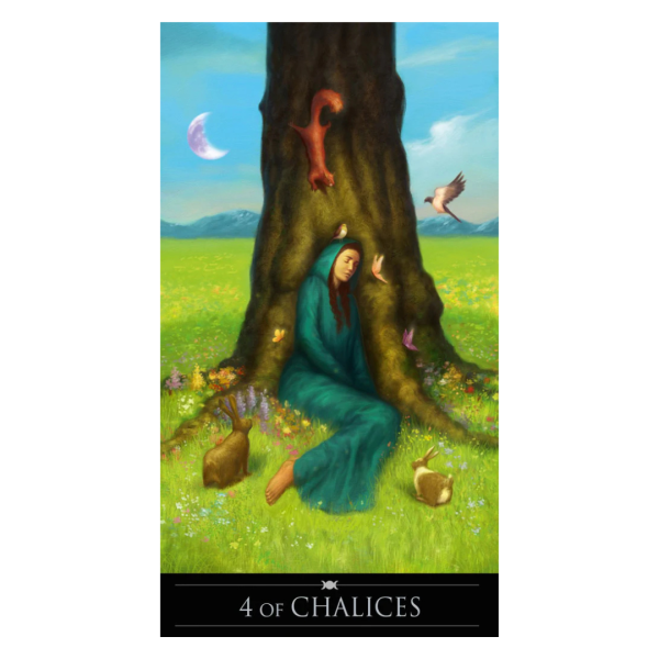 Silver Witchcraft tarot premium