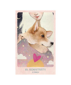 Ask the Canine: Wisdom from our beloved dogs