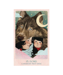 Ask the Canine: Wisdom from our beloved dogs