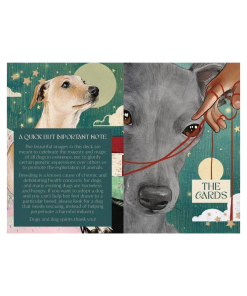 Ask the Canine: Wisdom from our beloved dogs