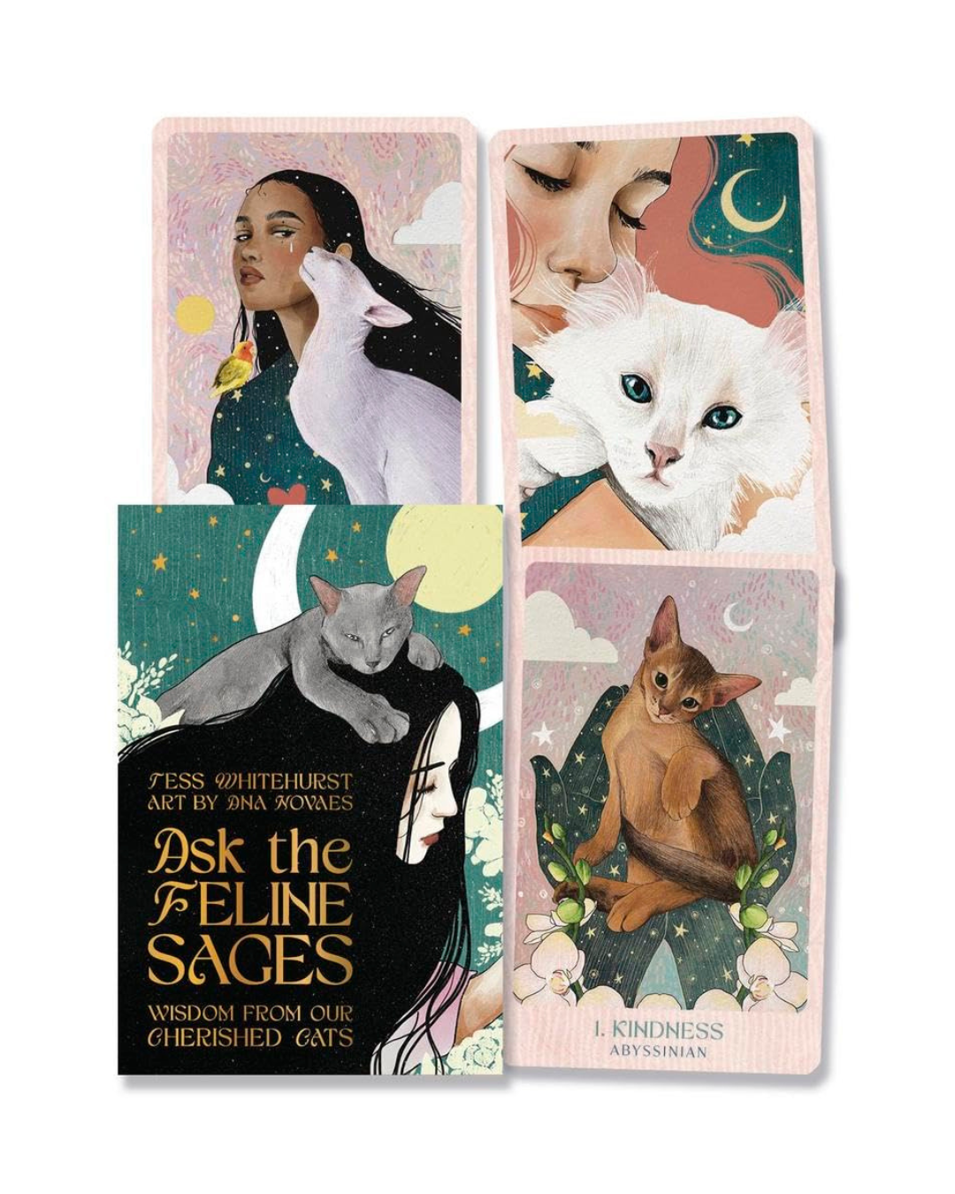 Ask the Feline Sages - Wisdom from our cherished cats
